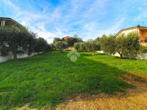 terreno agricolo in vendita a Tortoreto