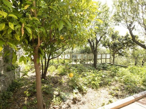 appartamento in vendita a Tortoreto