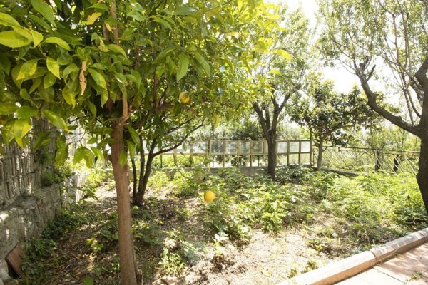 appartamento in vendita a Tortoreto