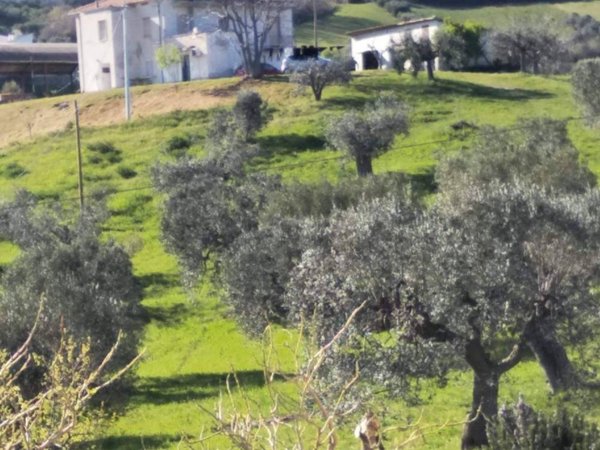casa indipendente in vendita a Tortoreto