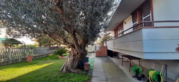 casa indipendente in vendita a Tortoreto