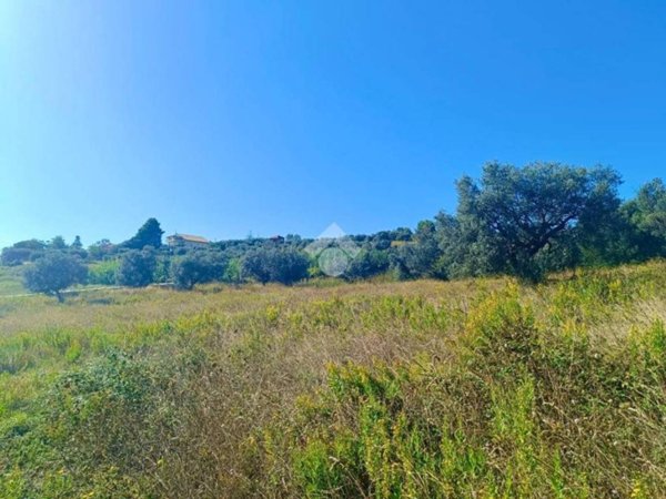 terreno agricolo in vendita a Tortoreto