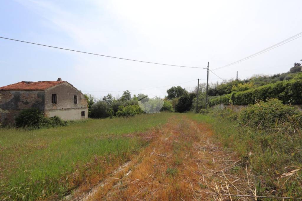terreno agricolo in vendita a Tortoreto