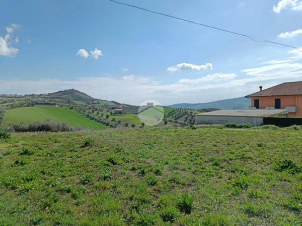 terreno agricolo in vendita a Tortoreto in zona Terrabianca