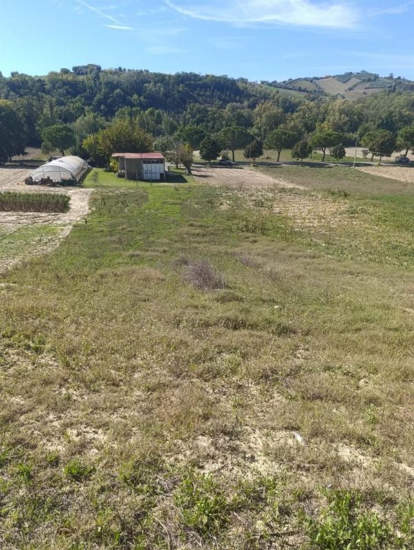 terreno agricolo in vendita a Tortoreto in zona Salino