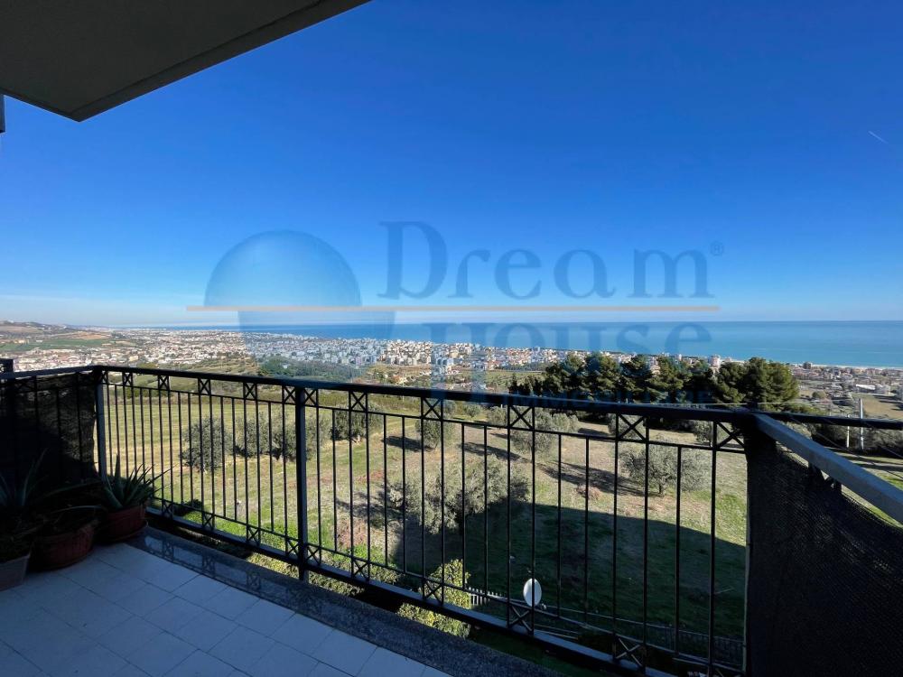 immagine annuncio 0 di 5