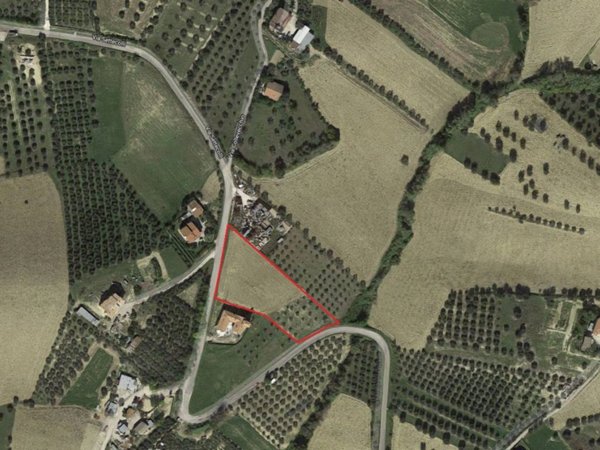 terreno agricolo in vendita a Tortoreto