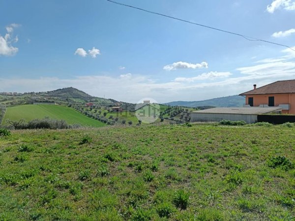 appartamento in vendita a Tortoreto in zona Colli