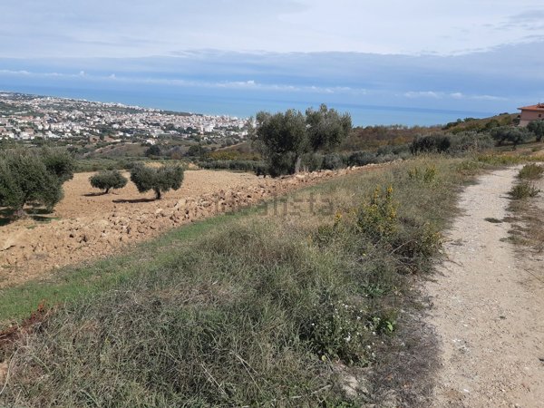 terreno agricolo in vendita a Tortoreto