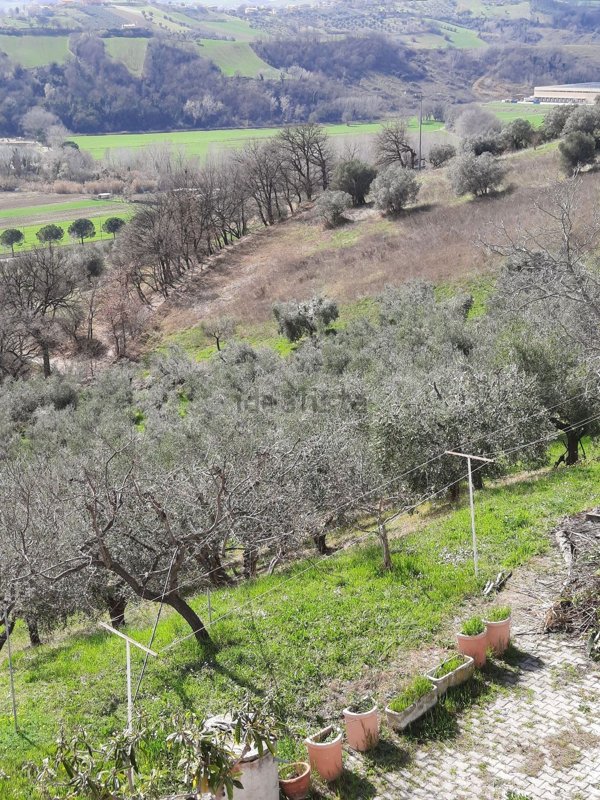 terreno agricolo in vendita a Tortoreto