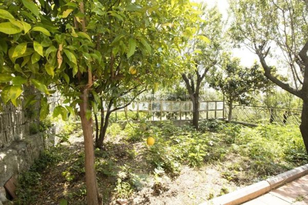 appartamento in vendita a Tortoreto