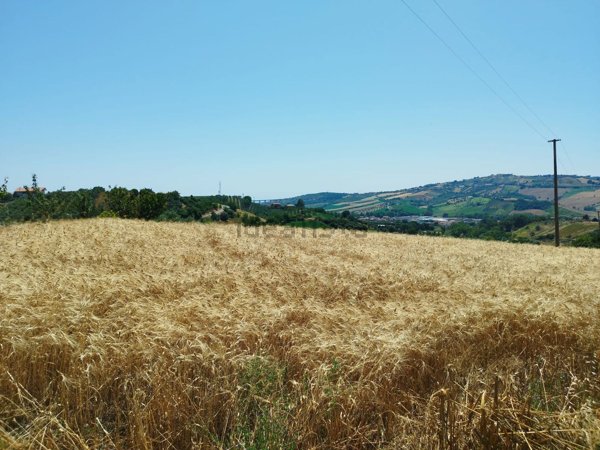 terreno agricolo in vendita a Tortoreto