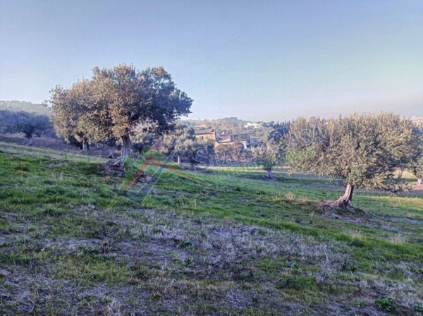 terreno agricolo in vendita a Tortoreto