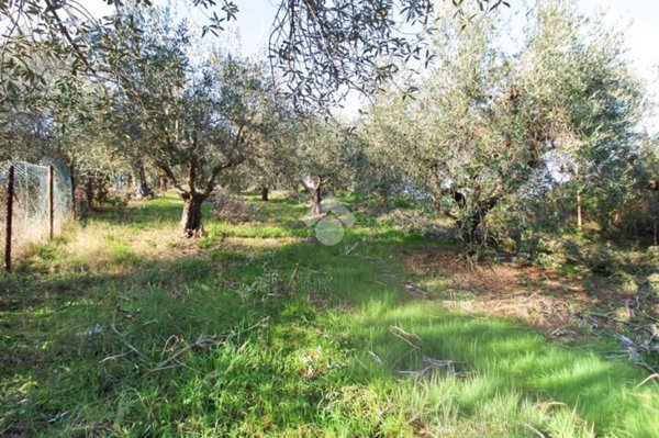 terreno agricolo in vendita a Tortoreto
