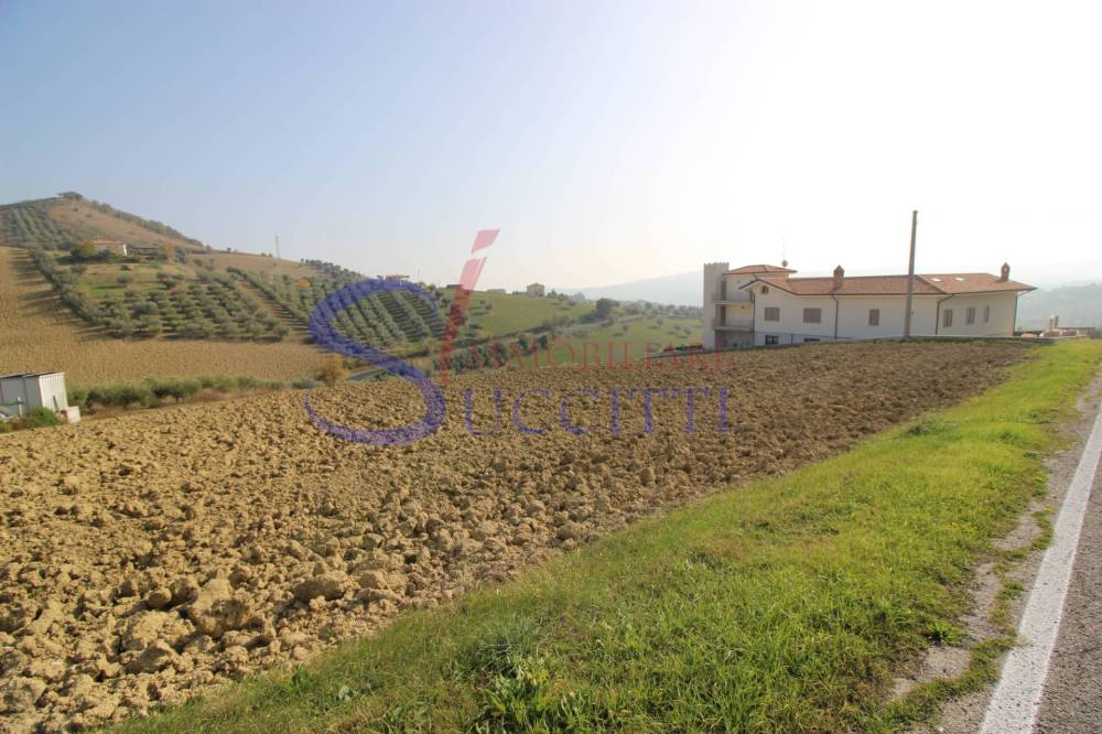 terreno agricolo in vendita a Tortoreto