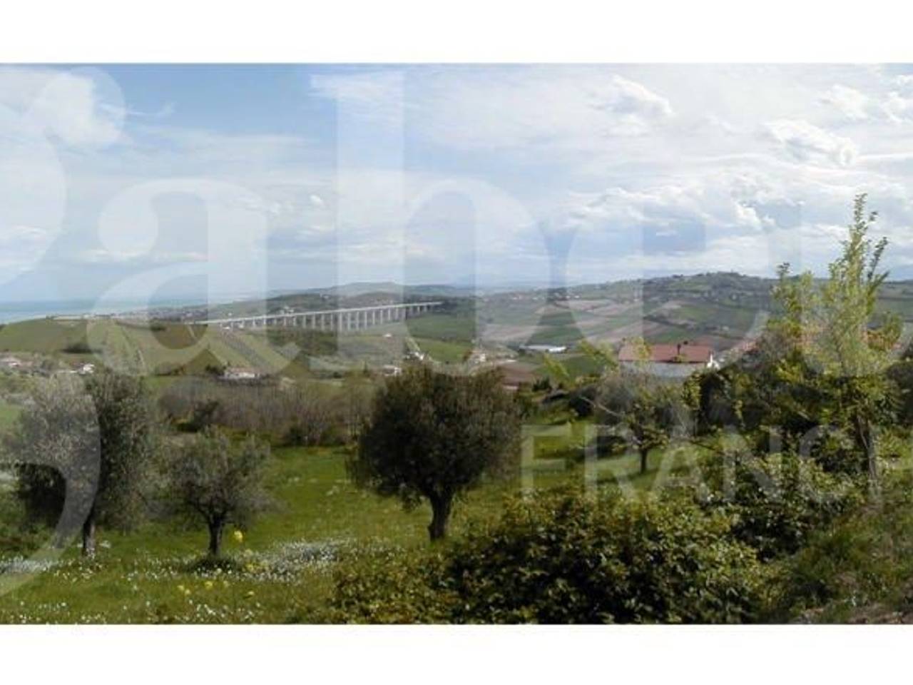 terreno agricolo in vendita a Tortoreto