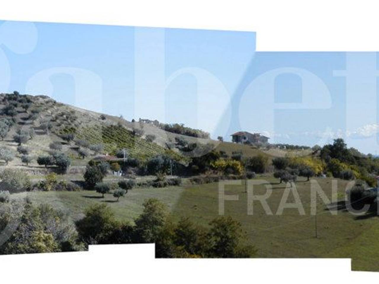 terreno agricolo in vendita a Tortoreto