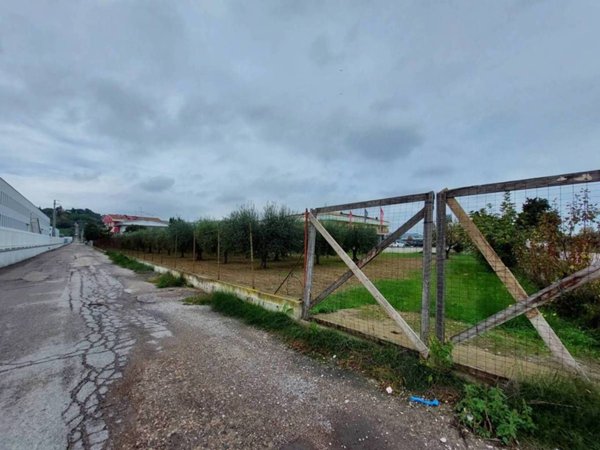 terreno agricolo in vendita a Tortoreto