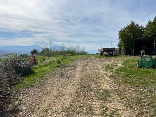 terreno agricolo in vendita a Tortoreto
