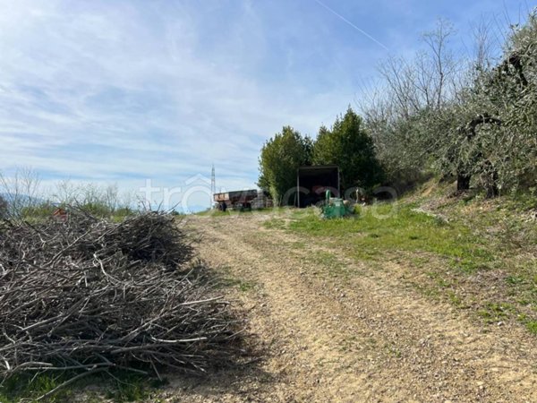 terreno agricolo in vendita a Tortoreto