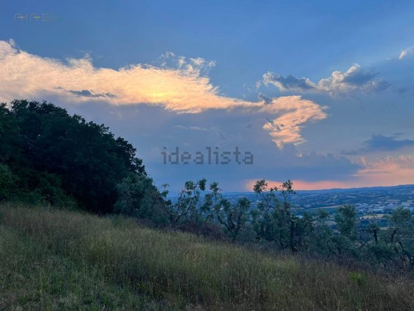 terreno agricolo in vendita a Tortoreto