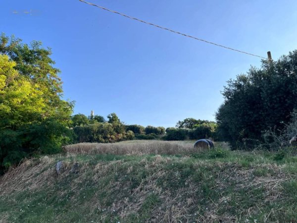 terreno agricolo in vendita a Tortoreto