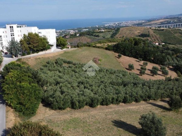 terreno agricolo in vendita a Tortoreto