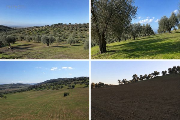 terreno in vendita a Tortoreto