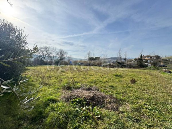 terreno in vendita a Tortoreto in zona Salino