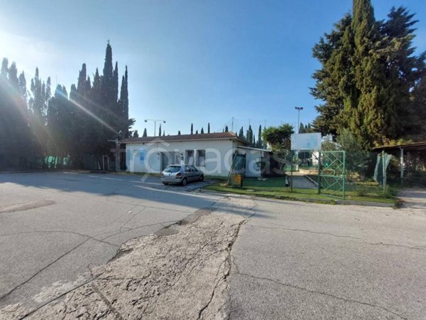 casa indipendente in vendita a Martinsicuro in zona Villa Rosa