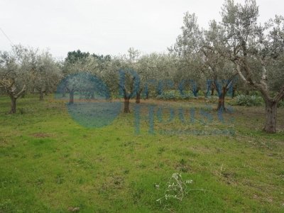 terreno edificabile in vendita a Martinsicuro