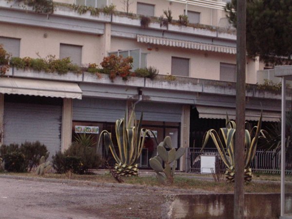 casa indipendente in vendita a Martinsicuro in zona Villa Rosa