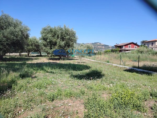 terreno agricolo in vendita a Martinsicuro in zona Villa Rosa