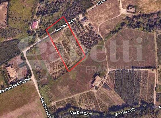 terreno agricolo in vendita a Martinsicuro