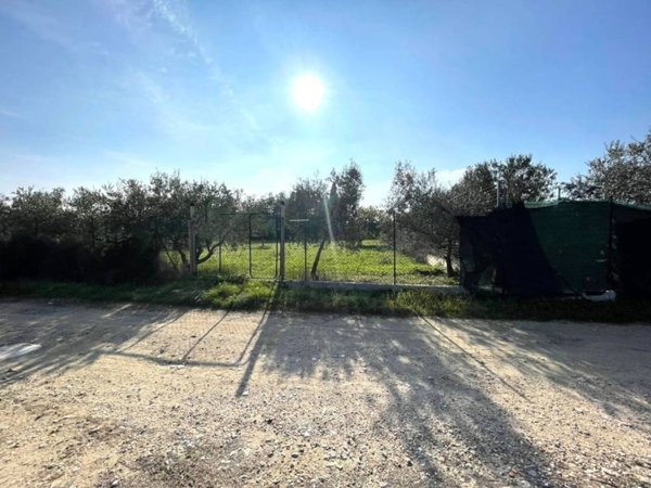 terreno agricolo in vendita a Martinsicuro in zona Villa Rosa