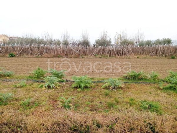 terreno agricolo in vendita a Martinsicuro in zona Villa Rosa