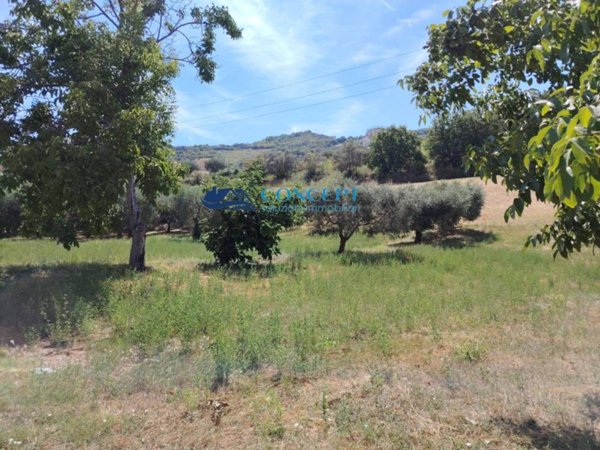 terreno edificabile in vendita a Martinsicuro