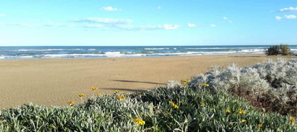 terreno industriale in vendita a Martinsicuro in zona Villa Rosa