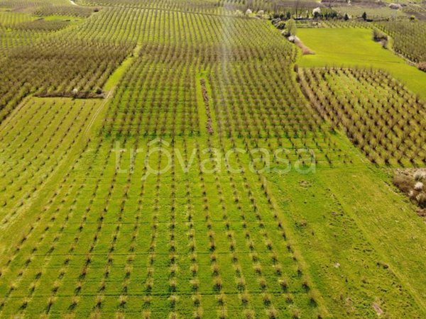 terreno agricolo in vendita a Roddi