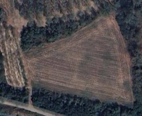 terreno agricolo in vendita a Roddi