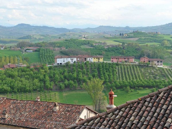 casa indipendente in vendita a Roddi