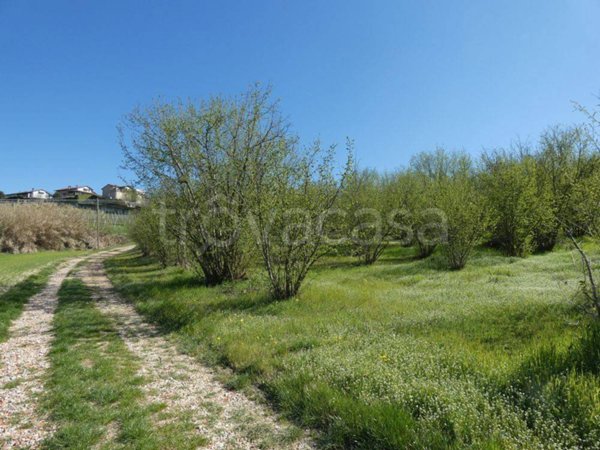 terreno agricolo in vendita a Roddi