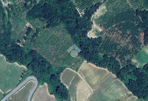 terreno agricolo in vendita a Roddino in zona Costepomo