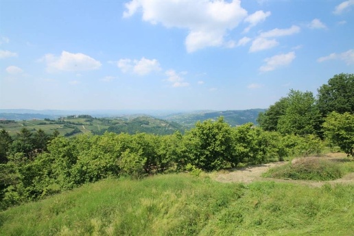 casa indipendente in vendita a Roddino in zona Corini