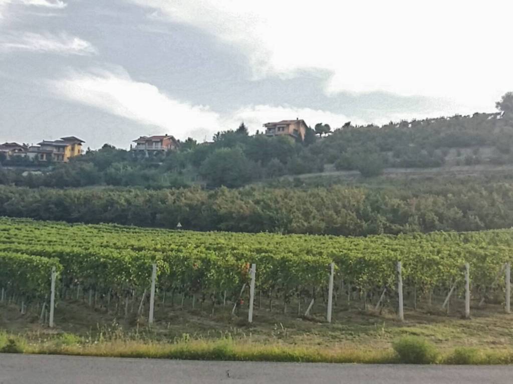 terreno agricolo in vendita a Rodello