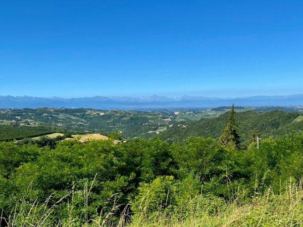 terreno agricolo in vendita a Rodello