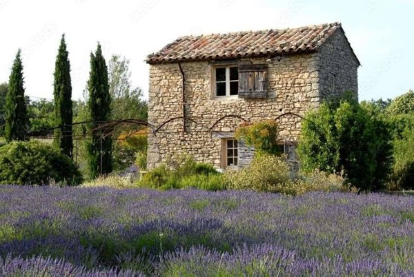 terreno agricolo in vendita a Sale San Giovanni