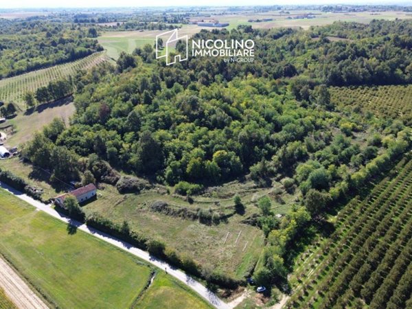 terreno agricolo in vendita a Salmour