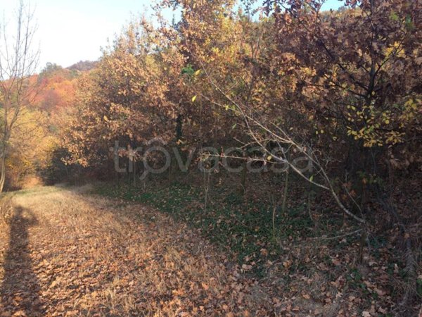 terreno agricolo in vendita a Saluzzo
