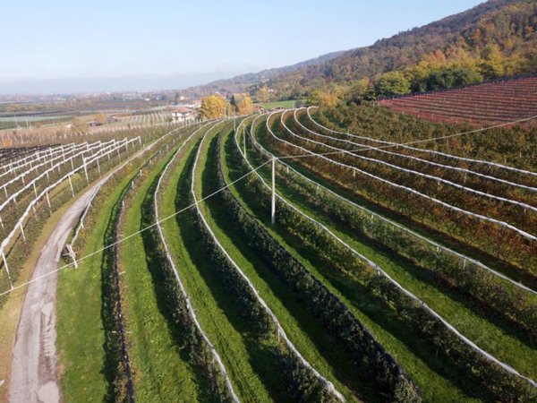 terreno agricolo in vendita a Saluzzo